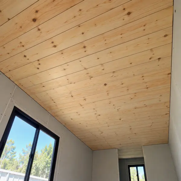 Ilustración: Casa contenedor de 20 pies, cielorraso de madera aislado en contenedor